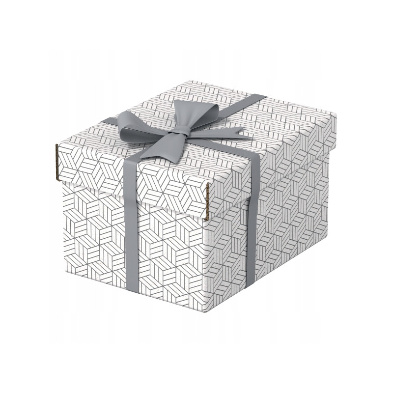 Pudełka domowe do przechowywania rozmiar S 3 sztuki białe 628280 ESSELTE