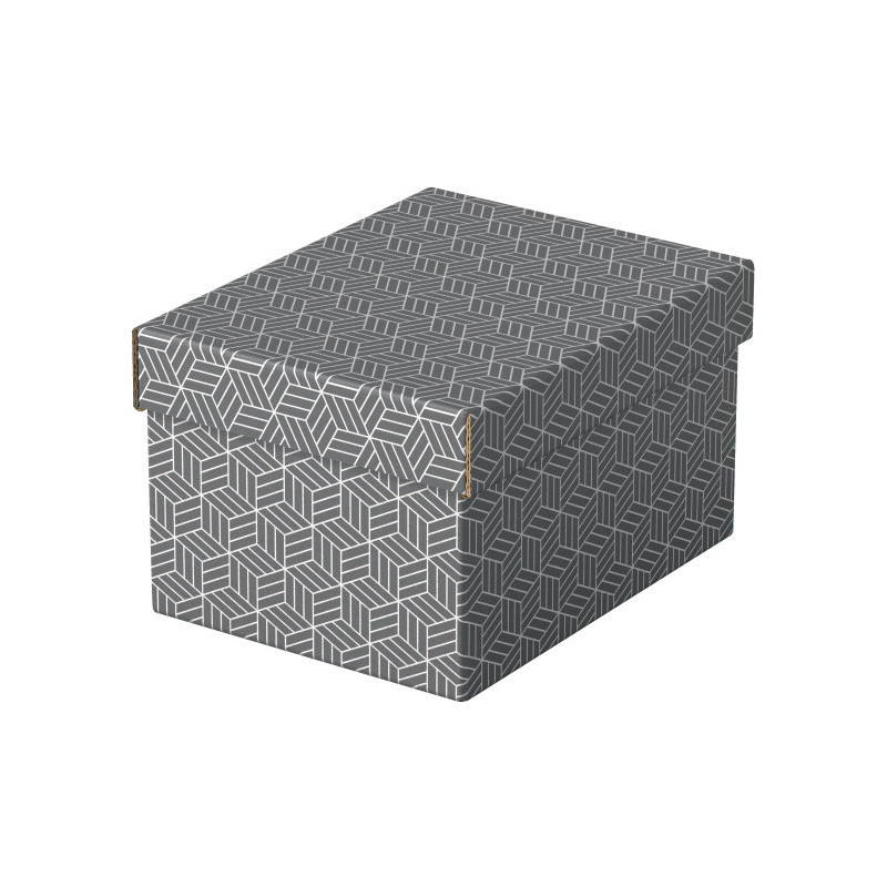 Pudełka domowe do przechowywania rozmiar S 3 sztuki szare 628281 ESSELTE