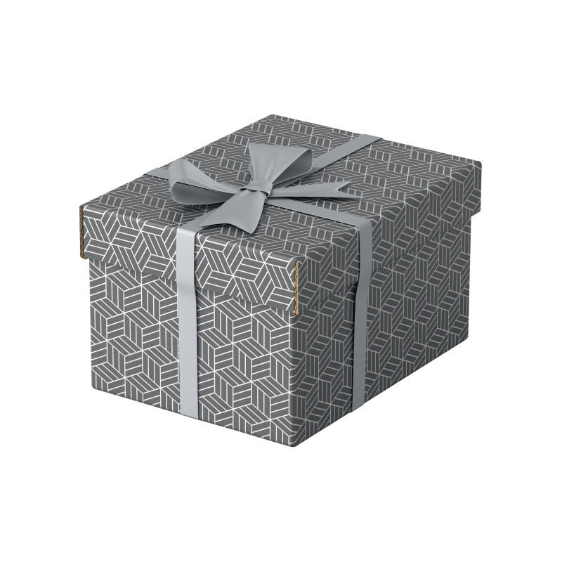 Pudełka domowe do przechowywania rozmiar S 3 sztuki szare 628281 ESSELTE