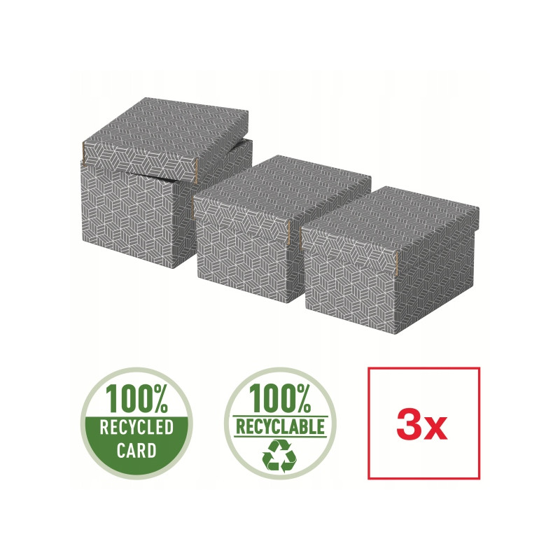 Pudełka domowe do przechowywania rozmiar S 3 sztuki szare 628281 ESSELTE