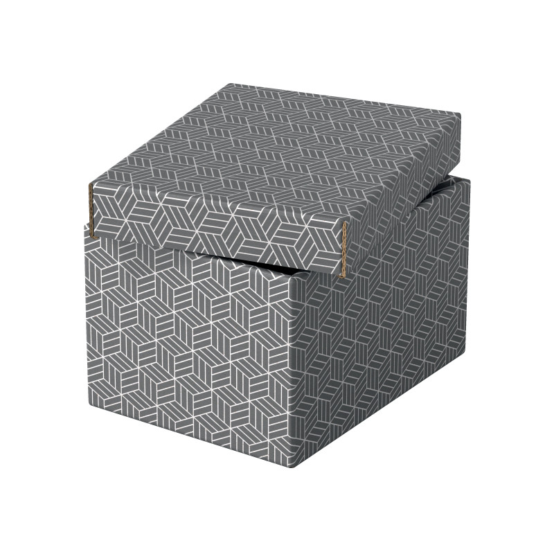 Pudełka domowe do przechowywania rozmiar S 3 sztuki szare 628281 ESSELTE