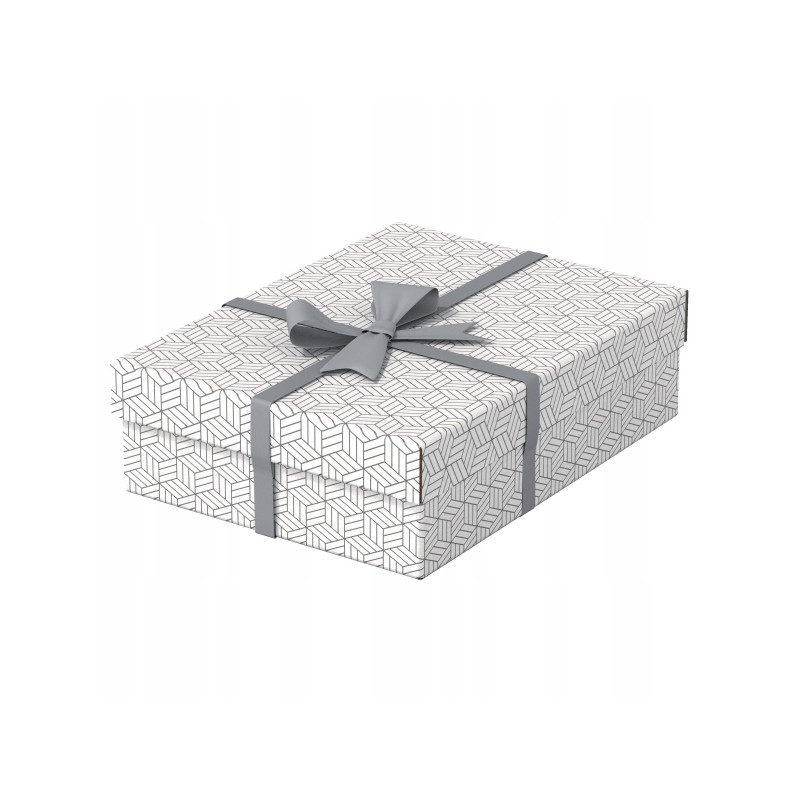 Pudełka domowe do przechowywania płaskie rozmiar M 3 sztuki białe 628284 ESSELTE