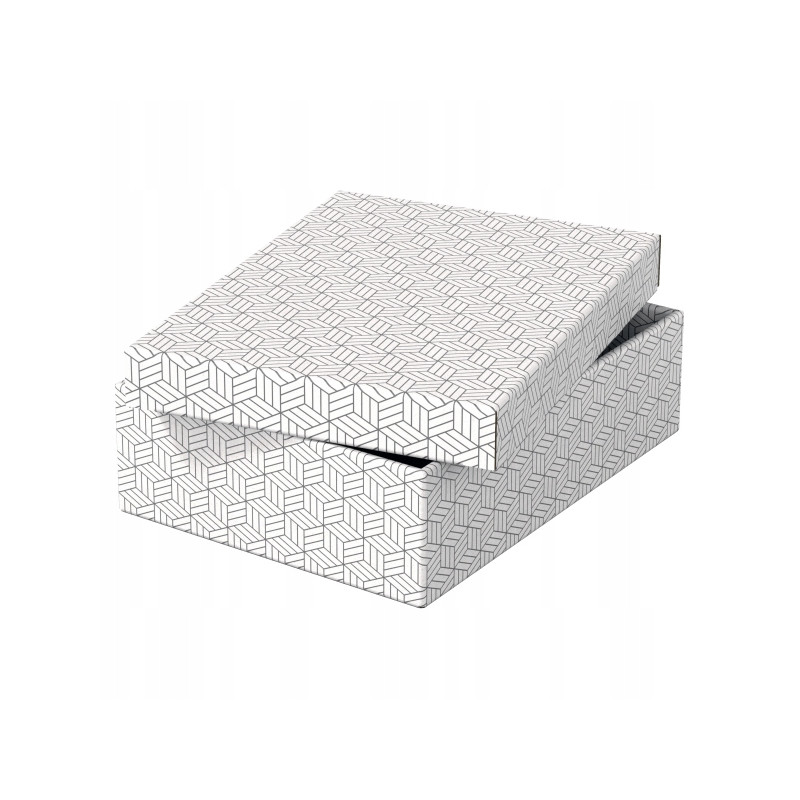 Pudełka domowe do przechowywania płaskie rozmiar M 3 sztuki białe 628284 ESSELTE