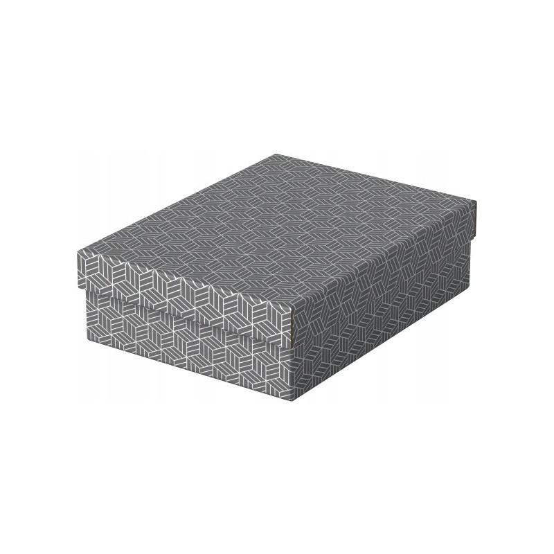 Pudełka domowe do przechowywania płaskie rozmiar M 3 sztuki szare 628285 ESSELTE