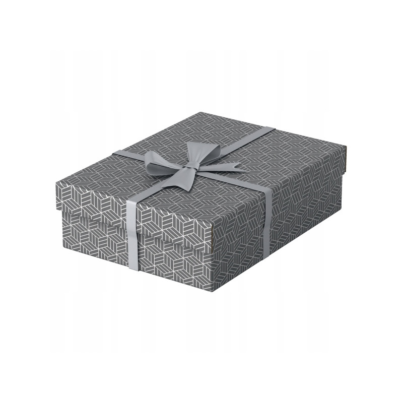 Pudełka domowe do przechowywania płaskie rozmiar M 3 sztuki szare 628285 ESSELTE