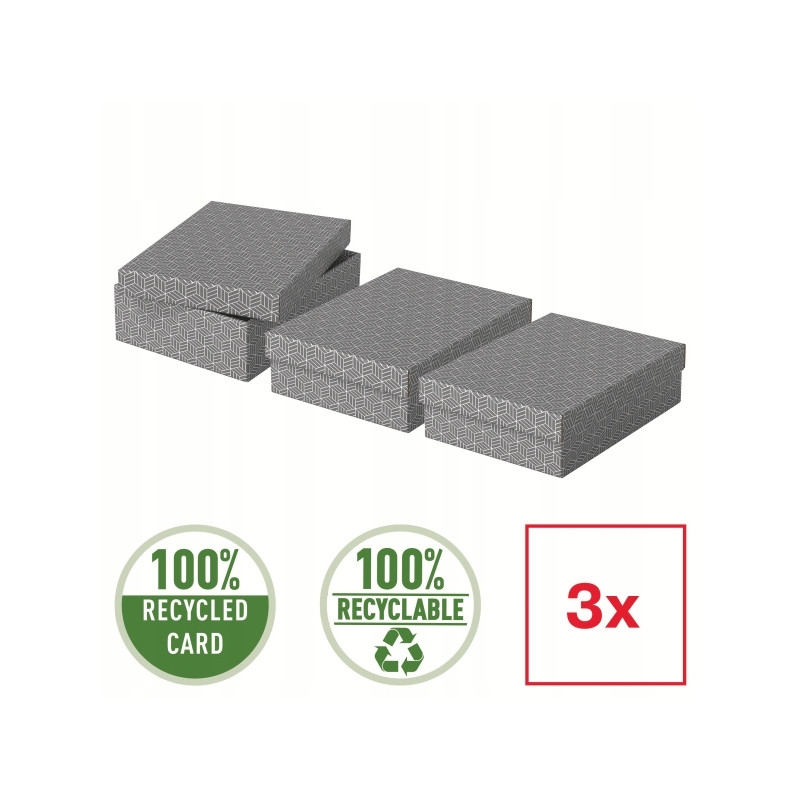 Pudełka domowe do przechowywania płaskie rozmiar M 3 sztuki szare 628285 ESSELTE