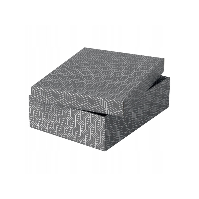 Pudełka domowe do przechowywania płaskie rozmiar M 3 sztuki szare 628285 ESSELTE