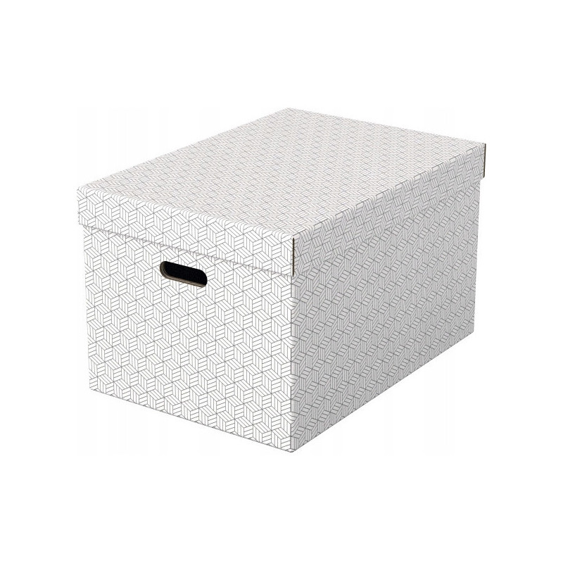 Pudełka domowe do przechowywania rozmiar L 3 sztuki białe 628286 ESSELTE