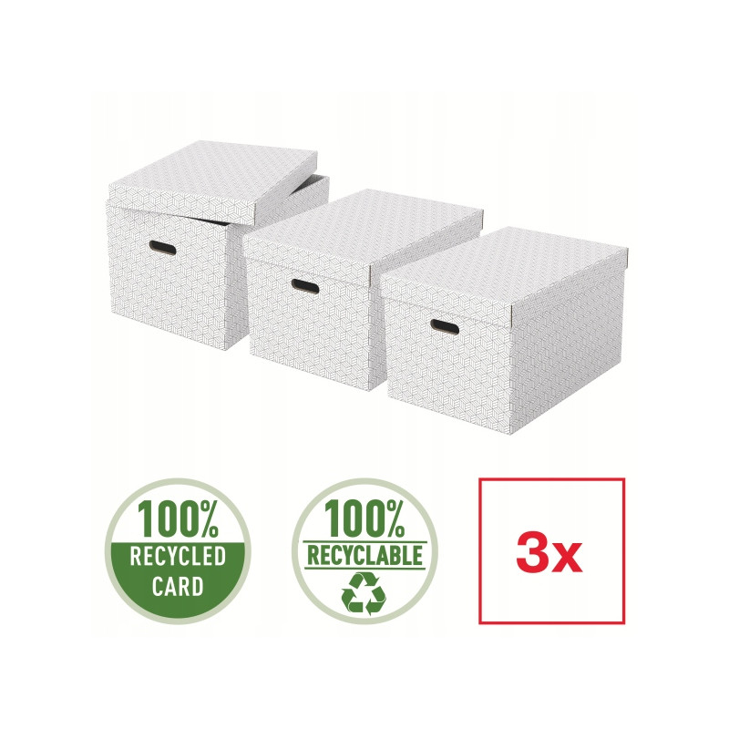 Pudełka domowe do przechowywania rozmiar L 3 sztuki białe 628286 ESSELTE