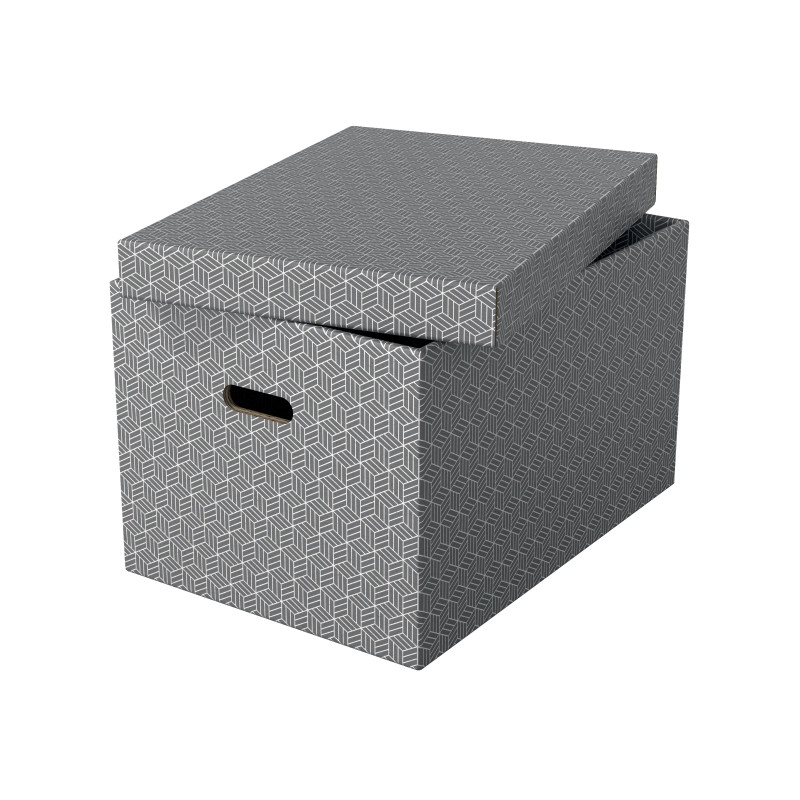 Pudełka domowe do przechowywania rozmiar L 3 sztuki szare 628287 ESSELTE