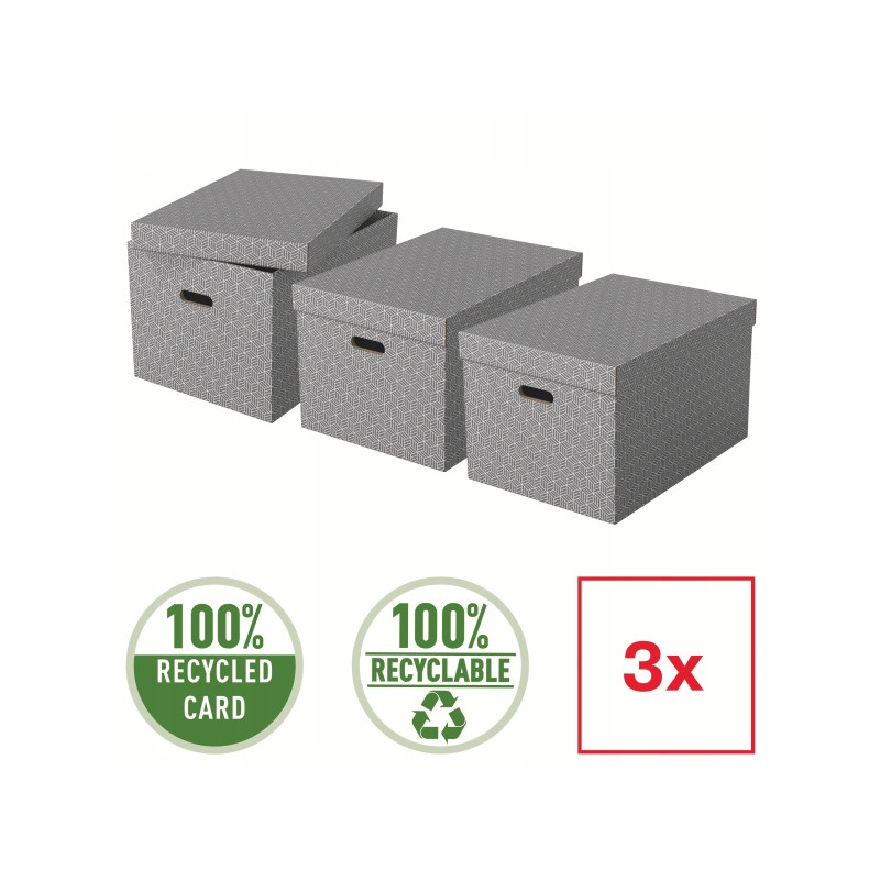 Pudełka domowe do przechowywania rozmiar L 3 sztuki szare 628287 ESSELTE