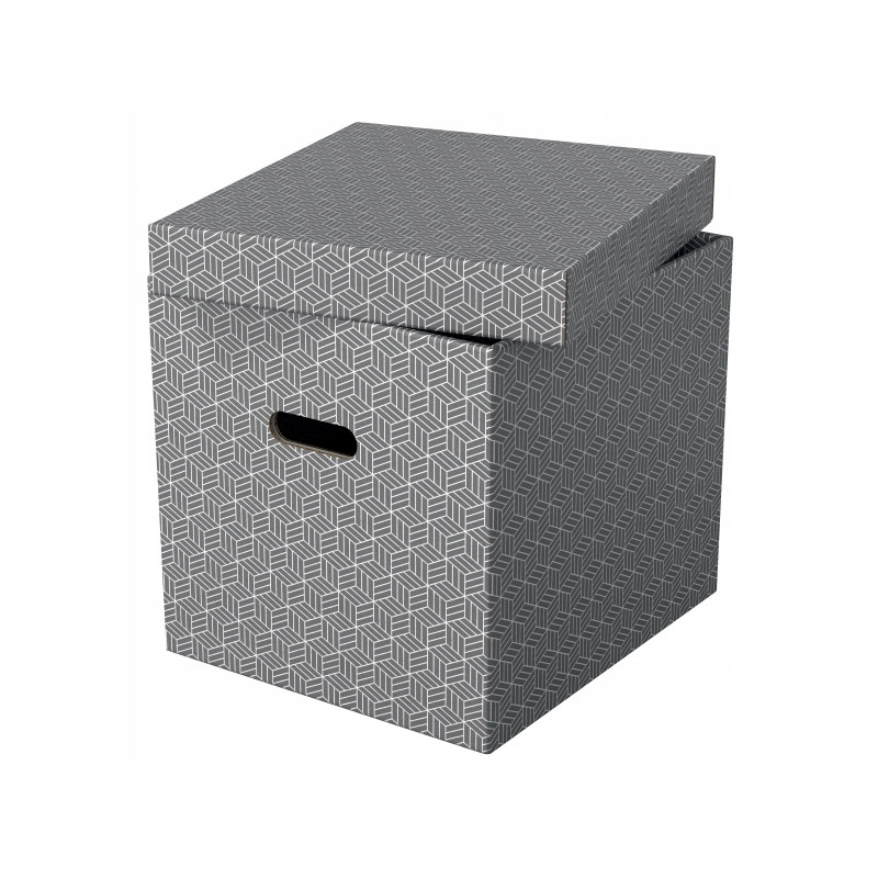 Pudełka domowe do przechowywania w kształcie sześciana 3 sztuki szare 628289 ESSELTE