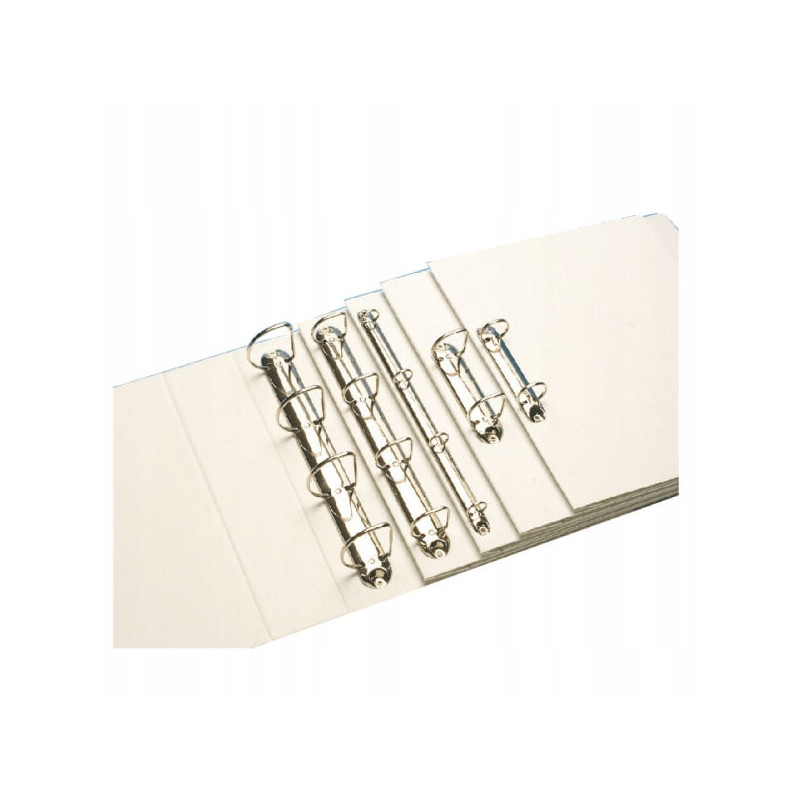 Segregator PANORAMA A4 4DR/40 63mm biały ofertowy ESSELTE 49704