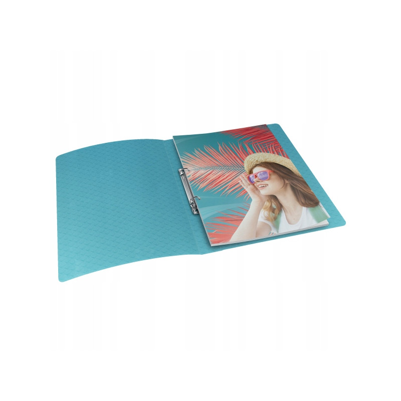 Segregator ringowy Esselte Colour`Breeze 2 RR 25 mm niebieski 626242