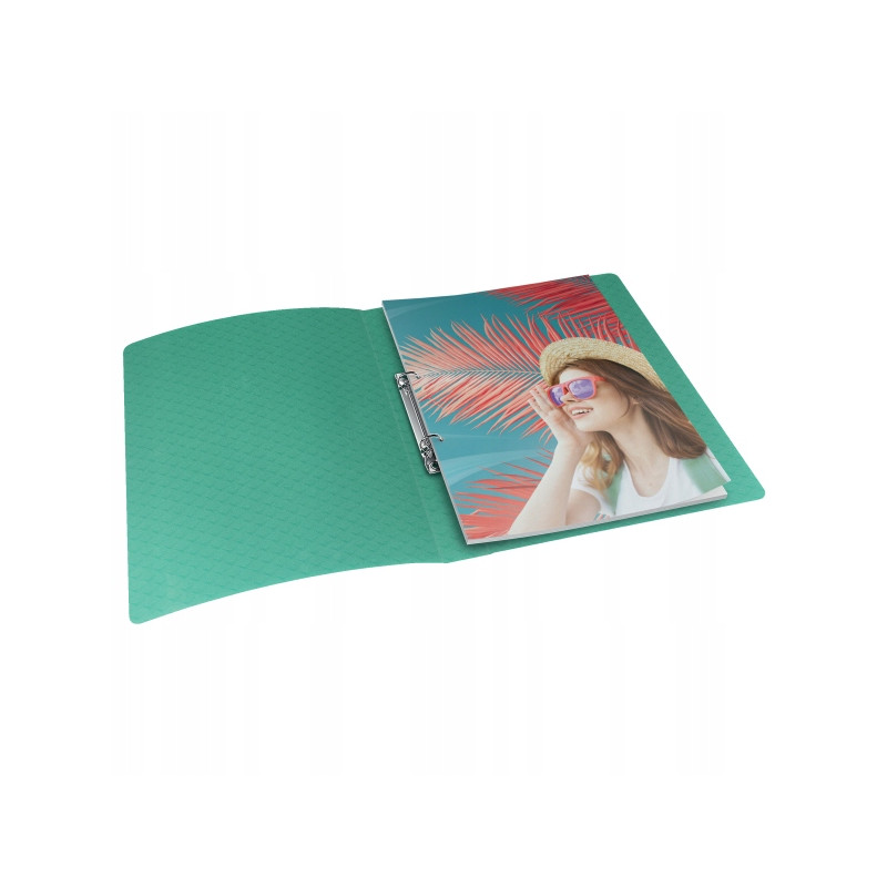 Segregator ringowy Esselte Colour`Breeze 2 RR 25 mm zielony 626243