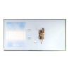 Segregator PETITE OFFICE A4/50mm zielony PO01588 STRIGO