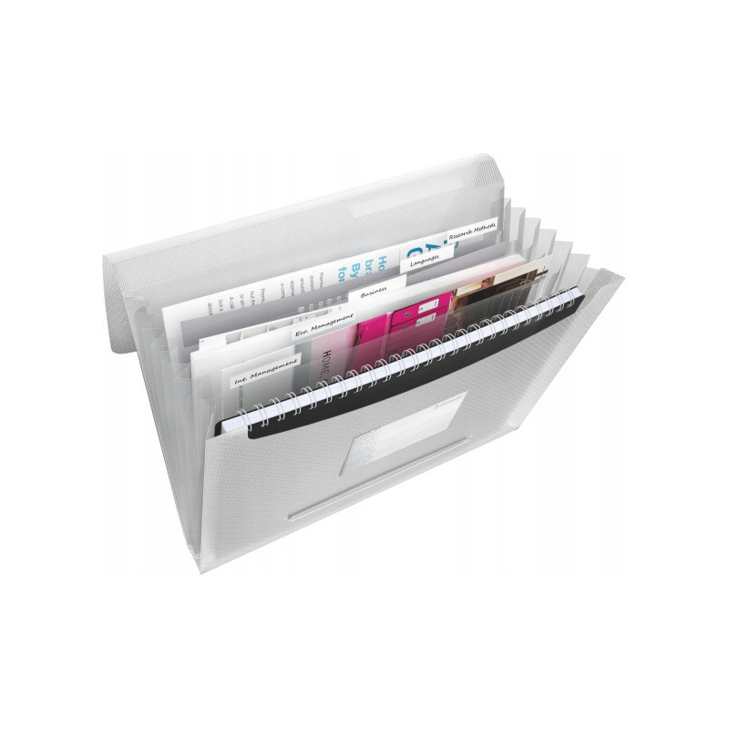 Teczka z przegródkami ESSELTE VIVIDA biała 624018