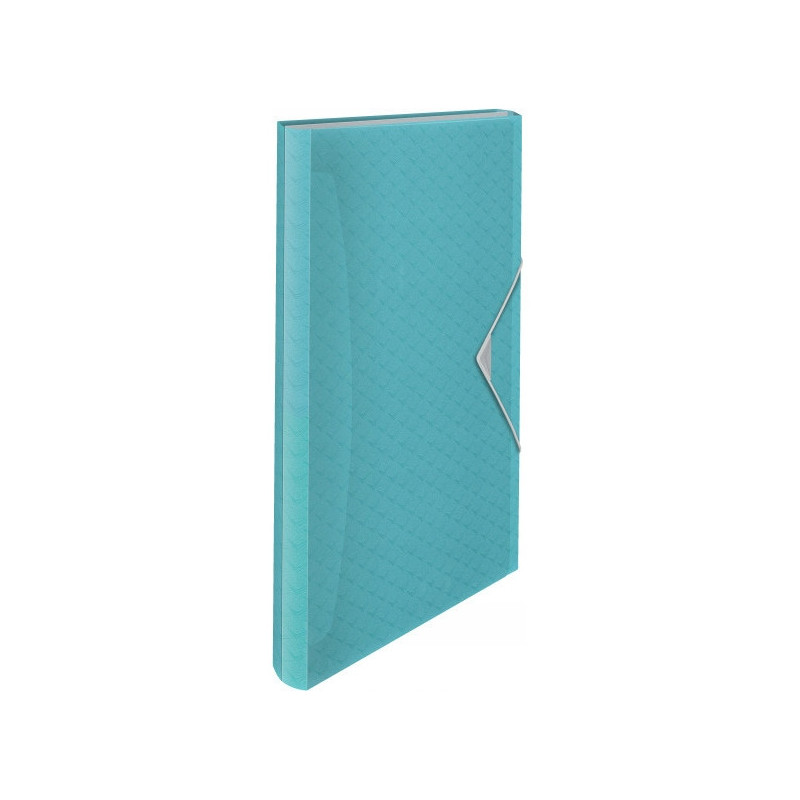 Teczka z przegródkami niebieska ESSELTE COLOUR"ICE 626252