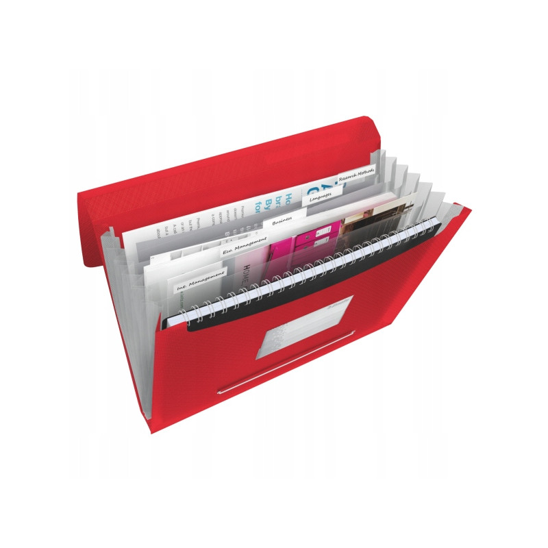 Teczka z przegródkami ESSELTE VIVIDA czerwona 624016
