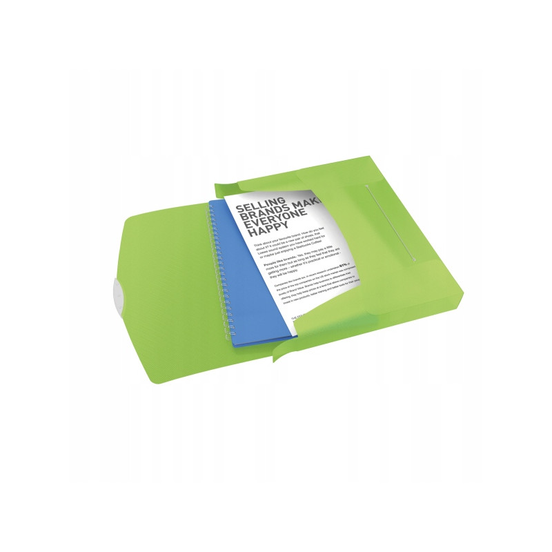 Teczka z gumką ESSELTE VIVIDA 40mm zielona 624051