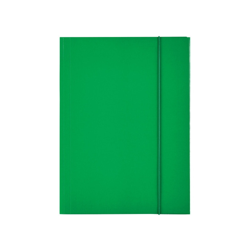 Teczka lakierowana z gumką A4 zielona ESSELTE 13437
