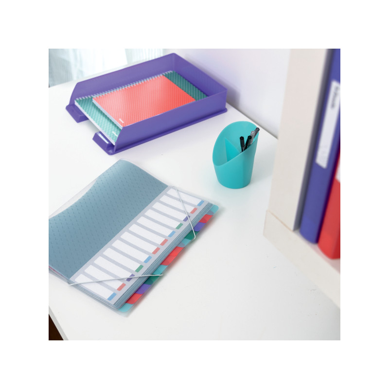 Teczka segregująca z 6 przekładkami ESSELTE COLOUR"ICE z 626255