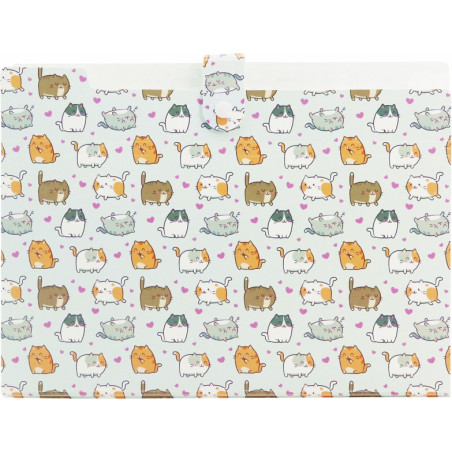 Teczka harmonijkowa A4 PP 5 przegródek z nadrukiem KITTENS THN-A4-35 BIURFOL