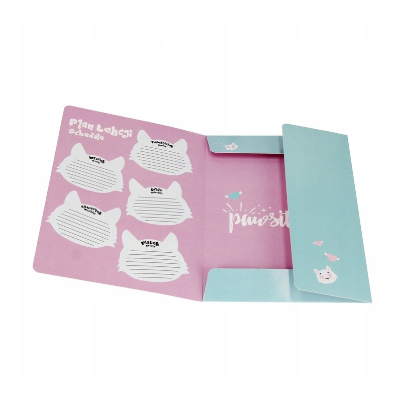 Teczka z gumką A4 KITTY 553545 STARPAK