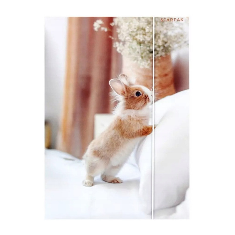 Teczka z gumką A4 KRÓLIK 559727 STARPAK