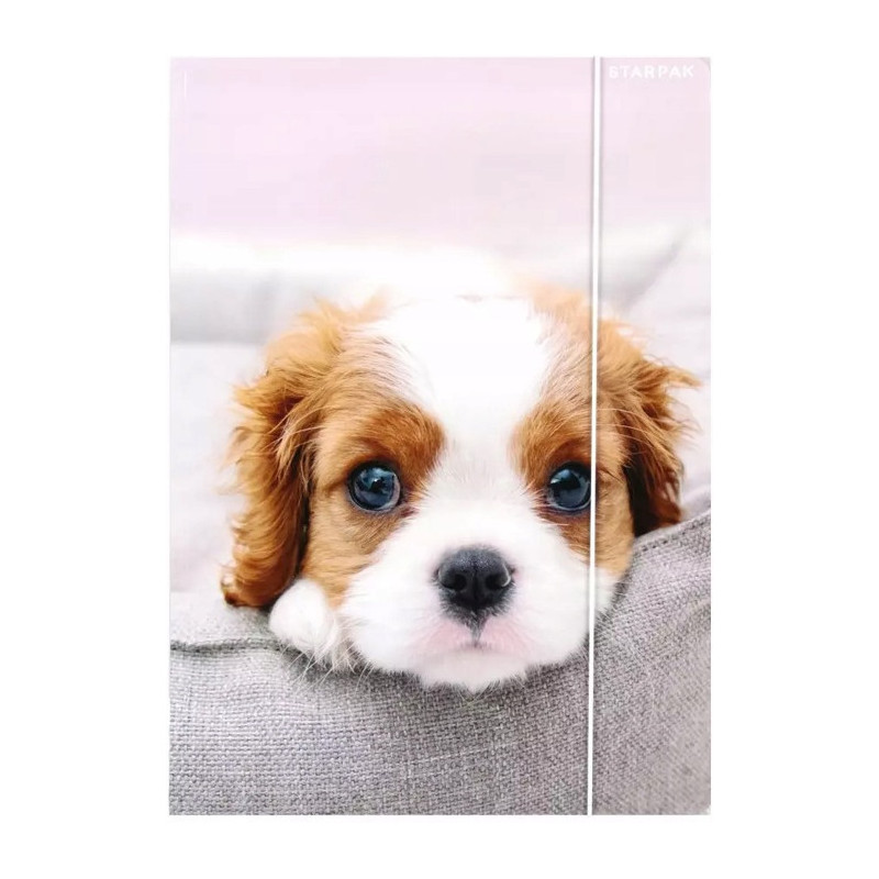 Teczka z gumką A4 PIESKI 559719 STARPAK