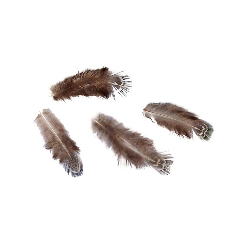 Piórka Craft-Fun Series 3g brązowy 438841 TITANUM