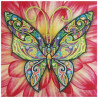 Diamentowe malowanie na płótnie MOTYL 260009 MOXY