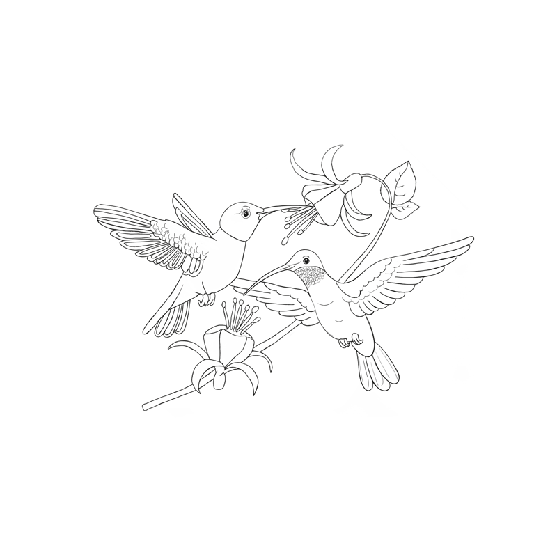 Kolorowanki A4, galeria 2 GAL-002