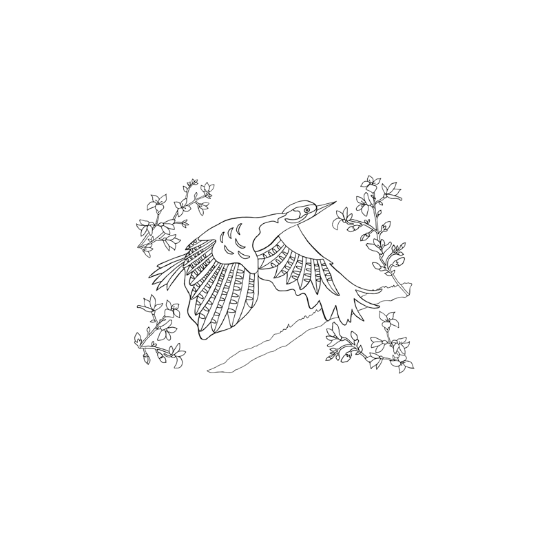 Kolorowanki B5, galeria 3 GAL-101