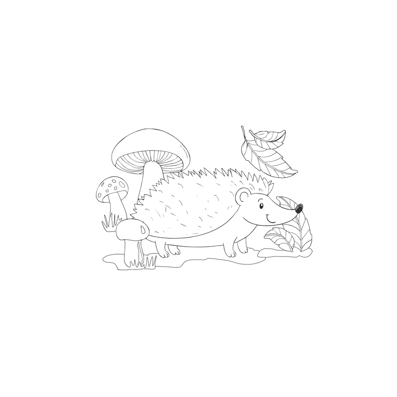 Kolorowanki B5, galeria 8 GAL-106