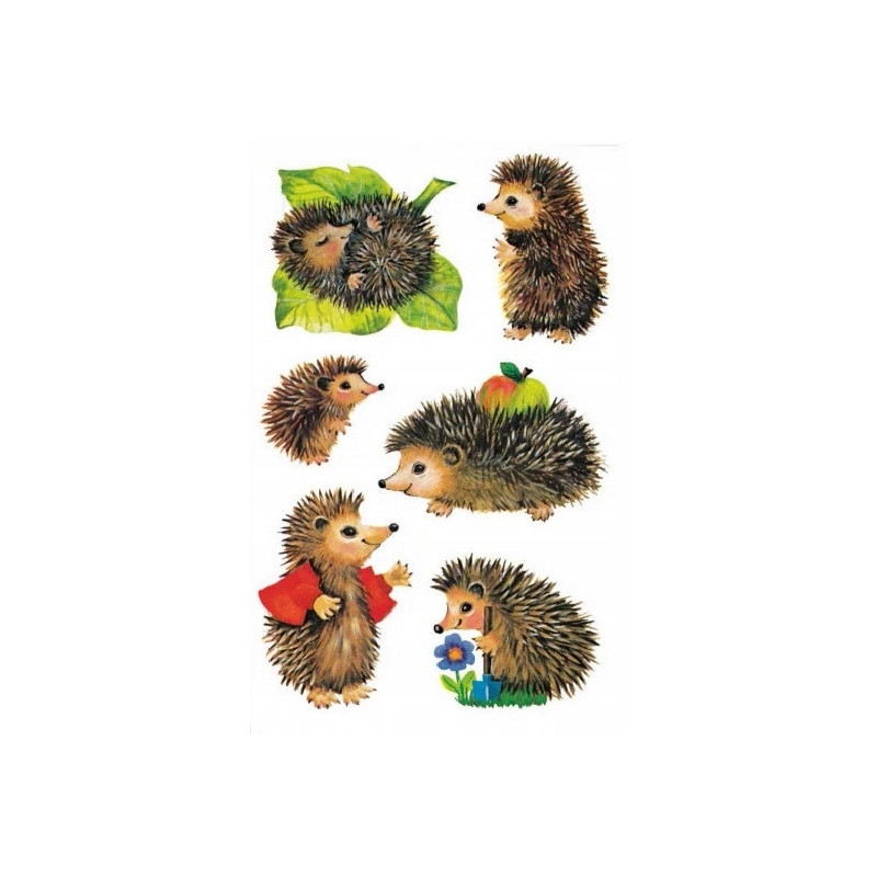 Naklejka Jeże 4306 Z-DESIGN KIDS AVERY ZWECKFORM