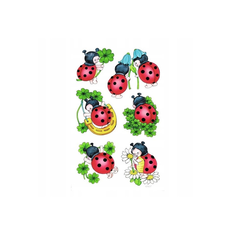 Naklejki ZF Biedronka 53281 Z-DESIGN CREATIVE AVERY ZWECKFORM