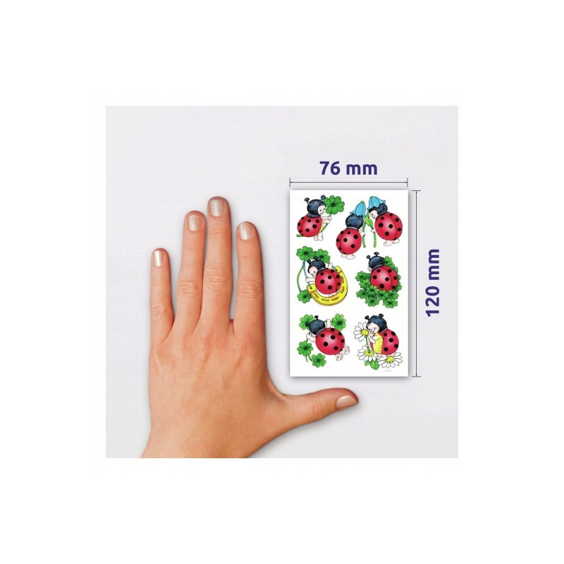 Naklejki ZF Biedronka 53281 Z-DESIGN CREATIVE AVERY ZWECKFORM