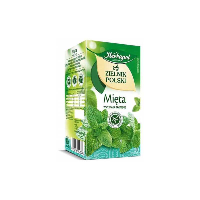 Herbata HERBAPOL ZIELNIK POLSKI (20 torebek) mięta