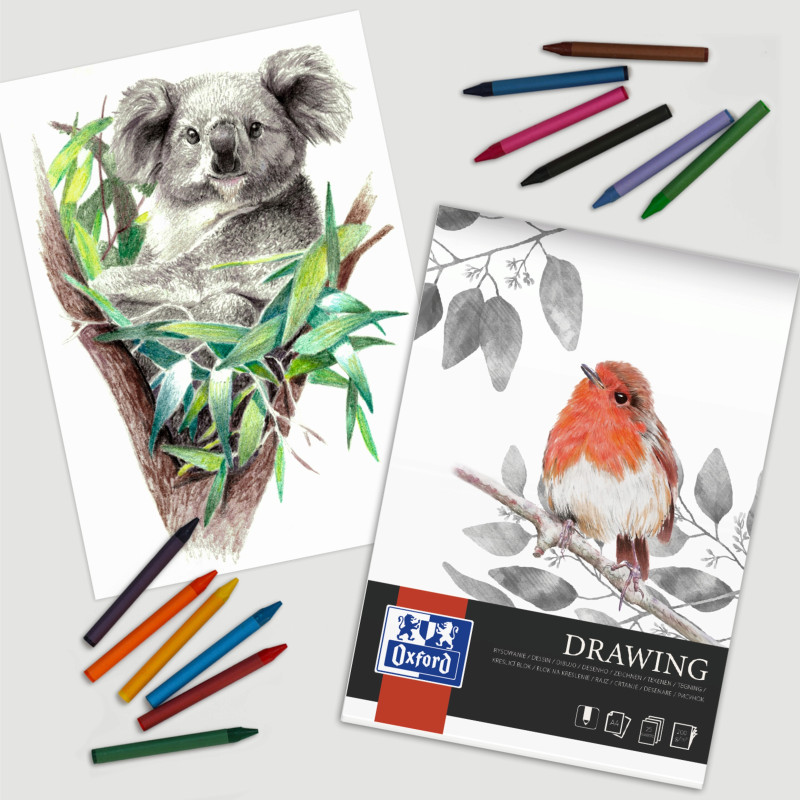 Blok rysunkowy A4 szkicownik 25 kartek 200g klejony 400166121 OXFORD