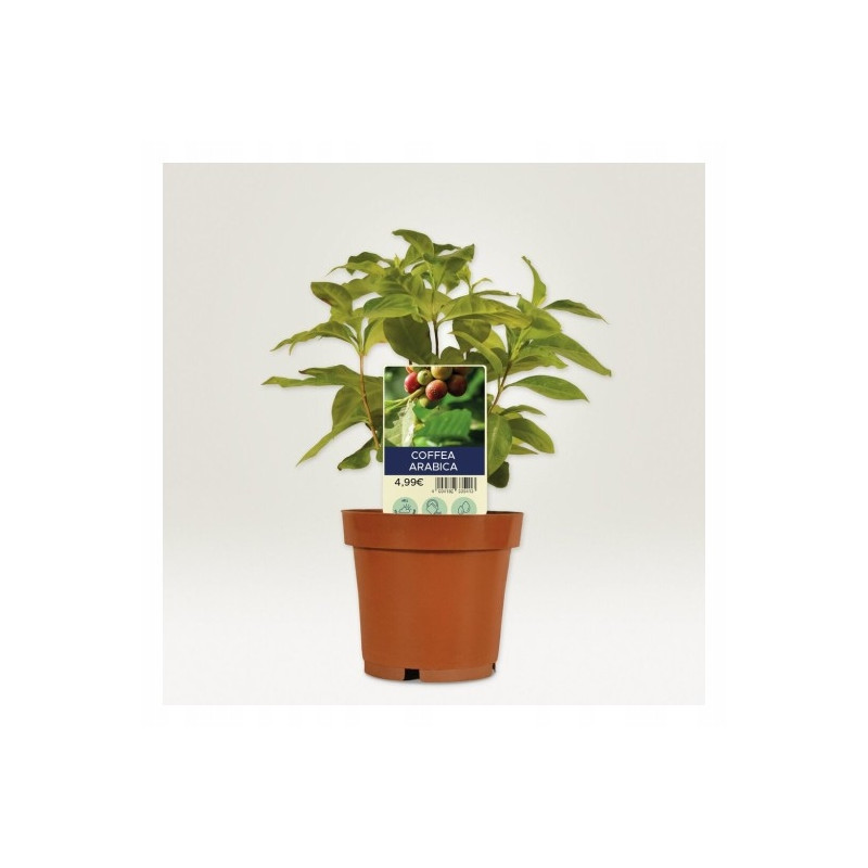 Tabliczka do oznaczania roślin do zadruku foliowa(10 arkuszy) 100x20mm T3005-10 AVERY ZWECKFORM