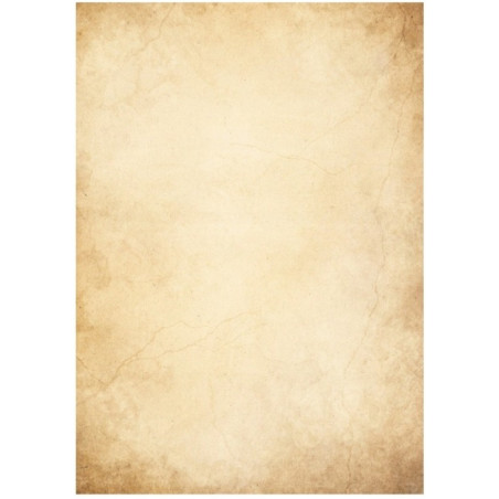 Barwne arkusze 100g/m2 FLORENCJA 234010 Galeria Papieru