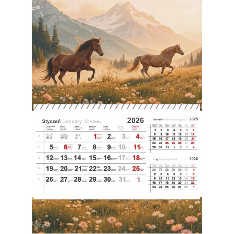 Kalendarz jednodzielny na spirali 2026 0405-0904-99 Panta Plast