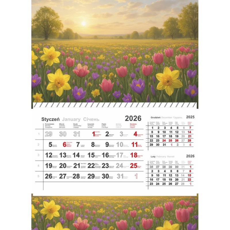 Kalendarz jednodzielny na spirali 2026 0405-0904-99 Panta Plast