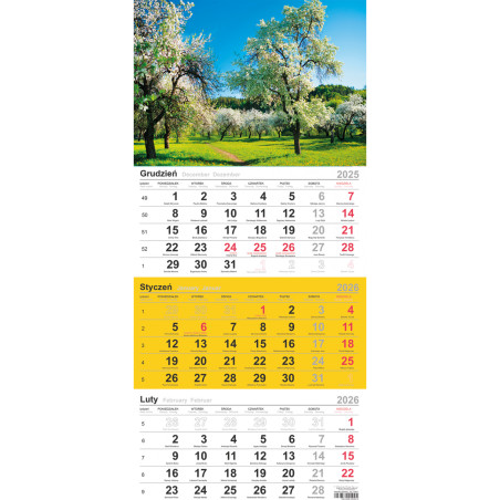 Kalendarz trójdzielny(H) DRZEWA T-106T-02 Michalczyk i Prokop