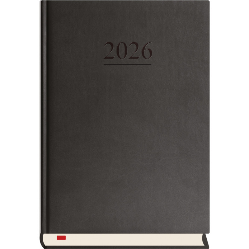 Terminarz Menadżera A5 - czarny T-203V-V Michalczyk i Prokop