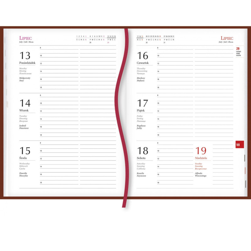 Terminarz A5 Popularny T-209F-03 Michalczyk i Prokop