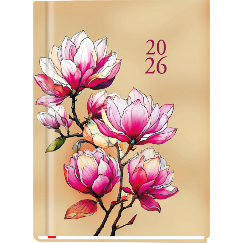 Terminarz A6 OLA T-212F-01 Michalczyk i Prokop