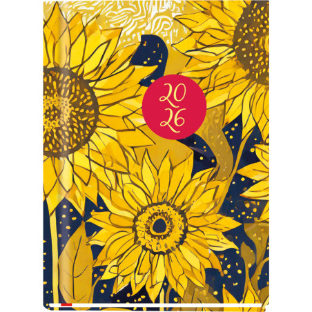 Terminarz A6 OLA T-212F-06 Michalczyk i Prokop