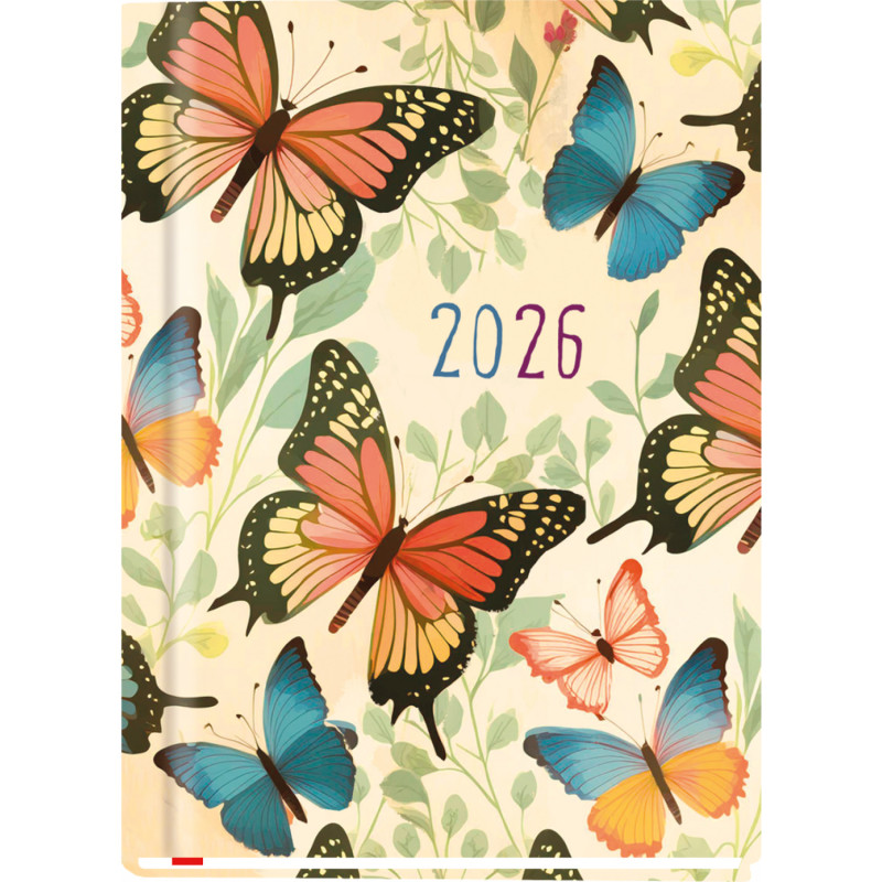 Terminarz A6 OLA T-212F-08 Michalczyk i Prokop